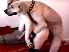 Teen girl forced by big dog
